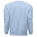 LIGHT BLUE - BACK