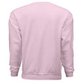 LIGHT PINK - BACK